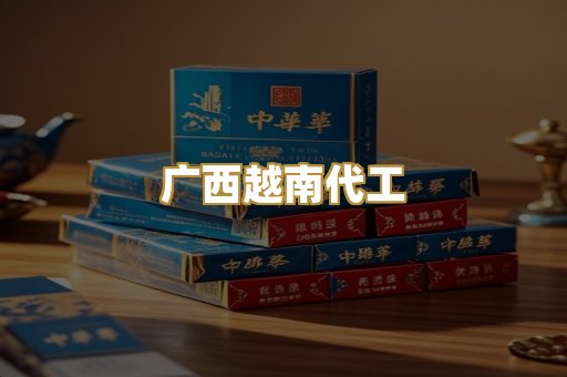 广西越南代工